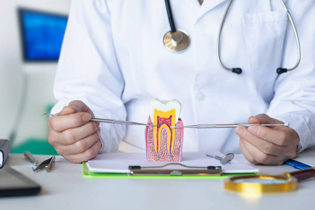 Best Emergency Denture Repair in Weatherford, TX